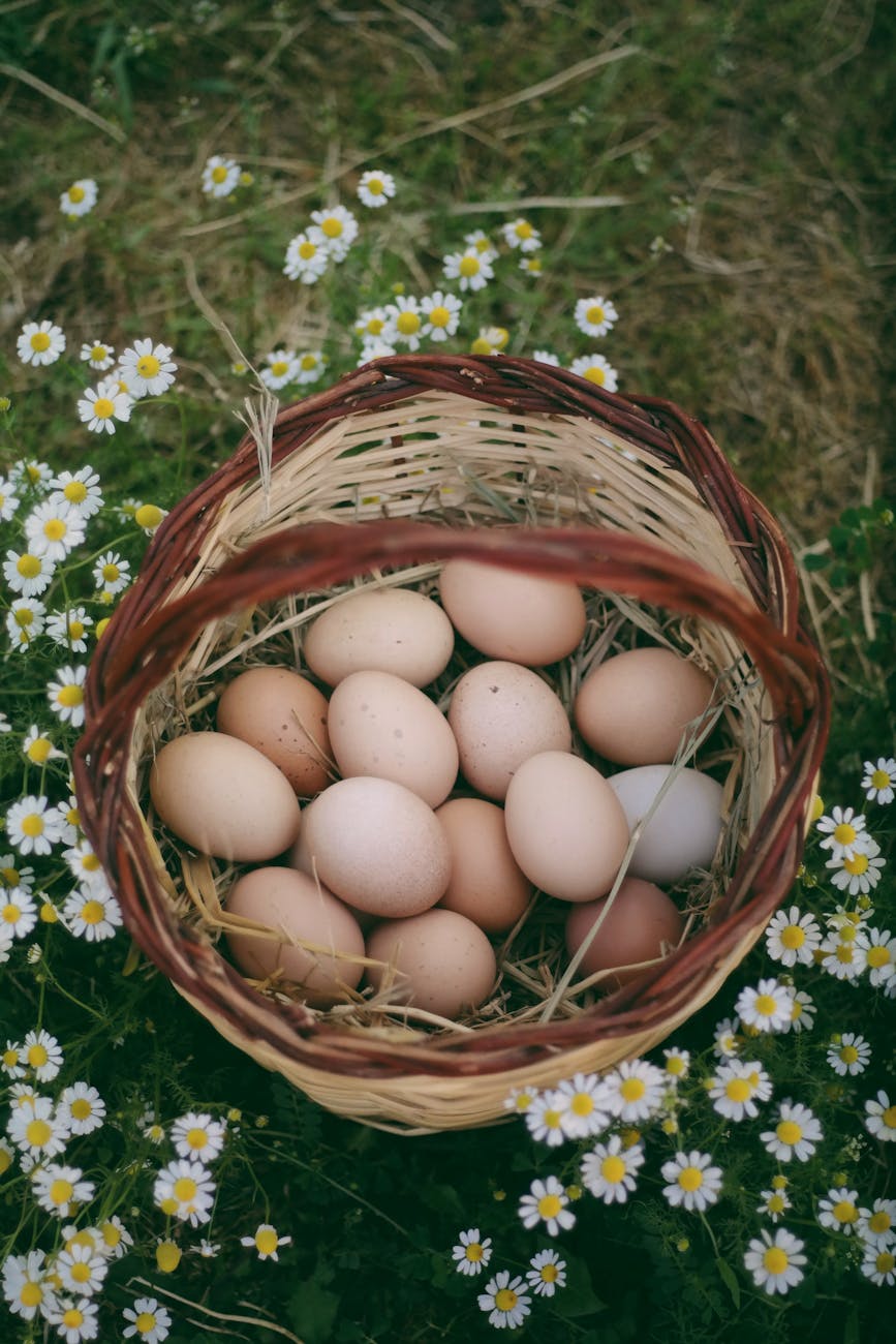 10 Easter Ideas That Won’t Break the Bank